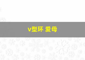 v型环 爱母